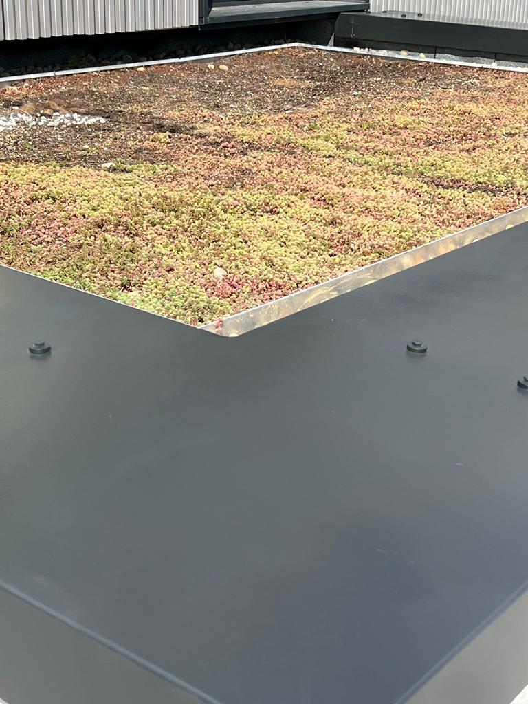 Metal Caping #1